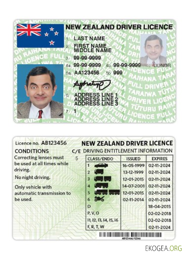 New Zealand driving license version 3